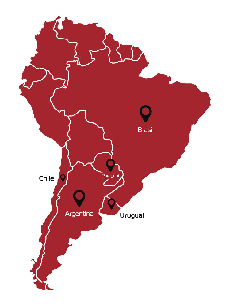 Atuação Internacional Lottus Transportes